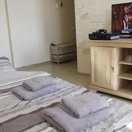 Tiny Paris In Heart Apartment Riga
