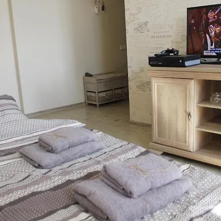 Tiny Paris In Heart Apartman Riga