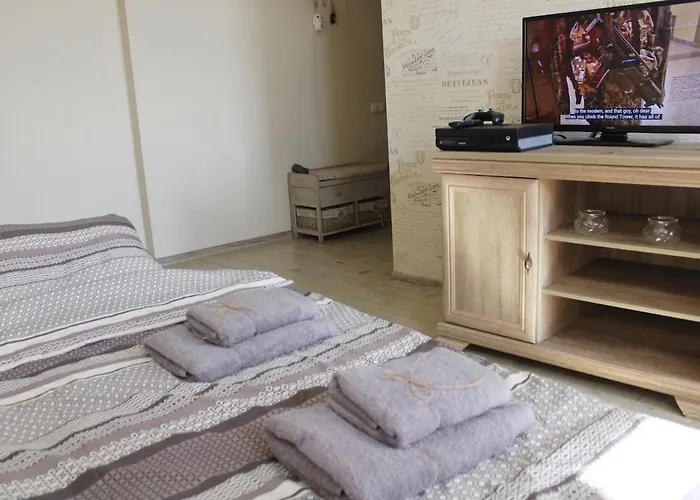 Tiny Paris In Heart Apartman Riga